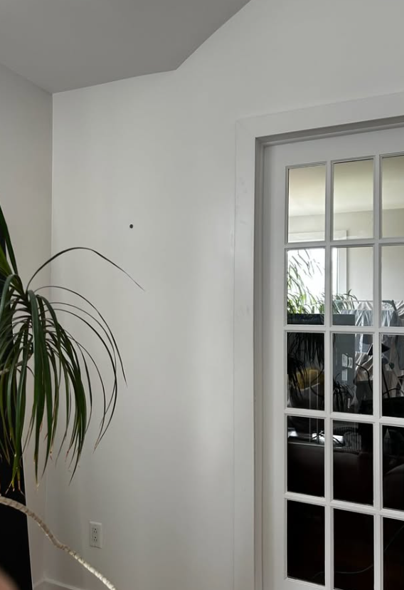 Plastering repair — smooth finished wall after restoration